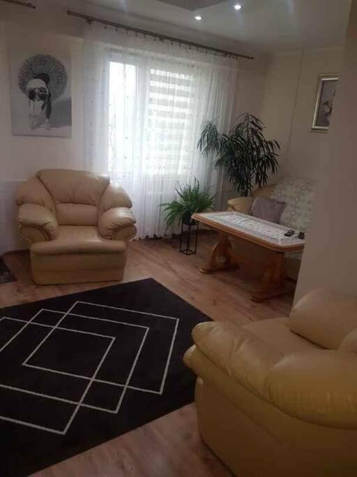 Topolowa 13 Minsk Mazowiecki Ngoại thất bức ảnh