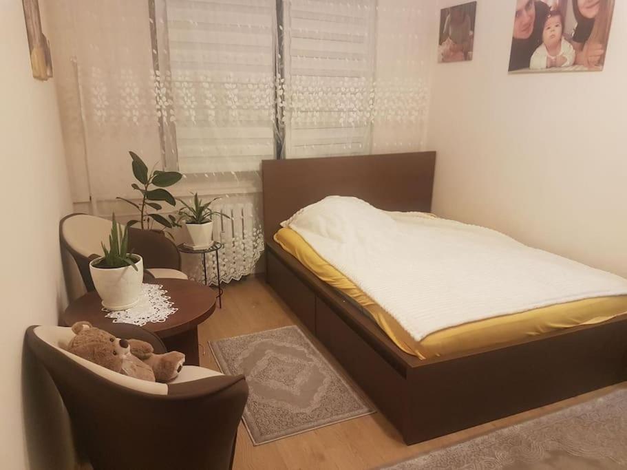 Topolowa 13 Minsk Mazowiecki Ngoại thất bức ảnh
