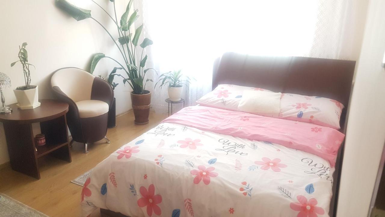 Topolowa 13 Minsk Mazowiecki Ngoại thất bức ảnh